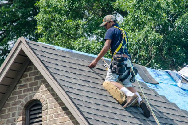 Best Metal Roofing Contractor  in Pell City, AL